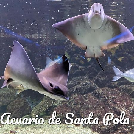 Best Holiday Santa Pola Ngoại thất bức ảnh