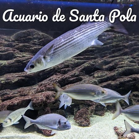 Best Holiday Santa Pola Ngoại thất bức ảnh